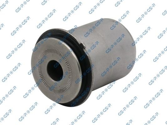 GSP 531688: Puks