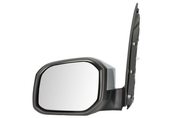 BLIC 5402-04-1546365P: Specchietto retrovisore esterno Sx, manuale