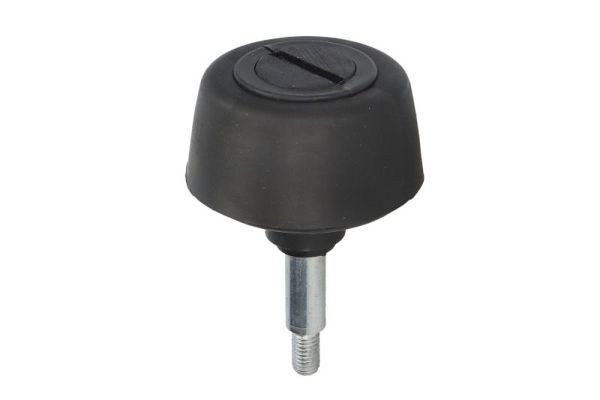 BLIC 6010-01-047433T: Fixare usa spate