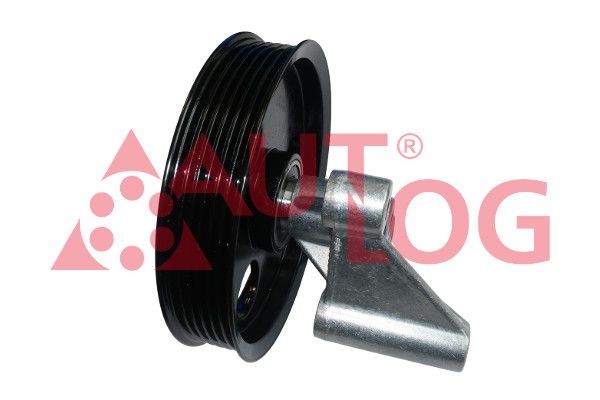 AUTLOG RT2007: Riemspanner, distributieriem