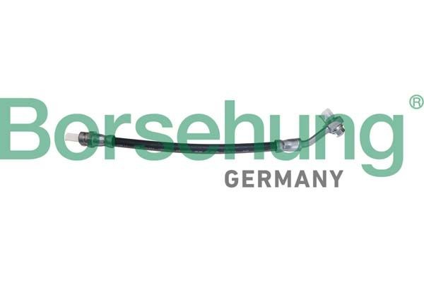 Borsehung B10949: Pidurivoolik taga
