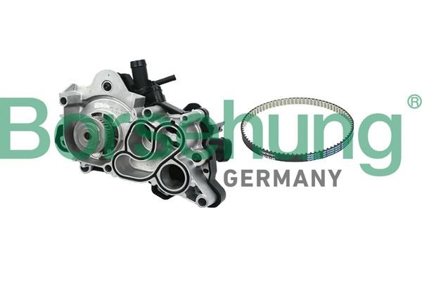 Borsehung B11207: Veepump