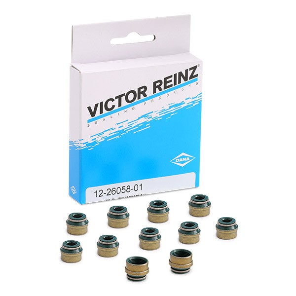 REINZ 12-26058-01: Tihendikomplekt, Klapisäär
