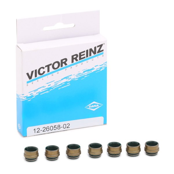 REINZ 12-26058-02: Tihendikomplekt, Klapisäär