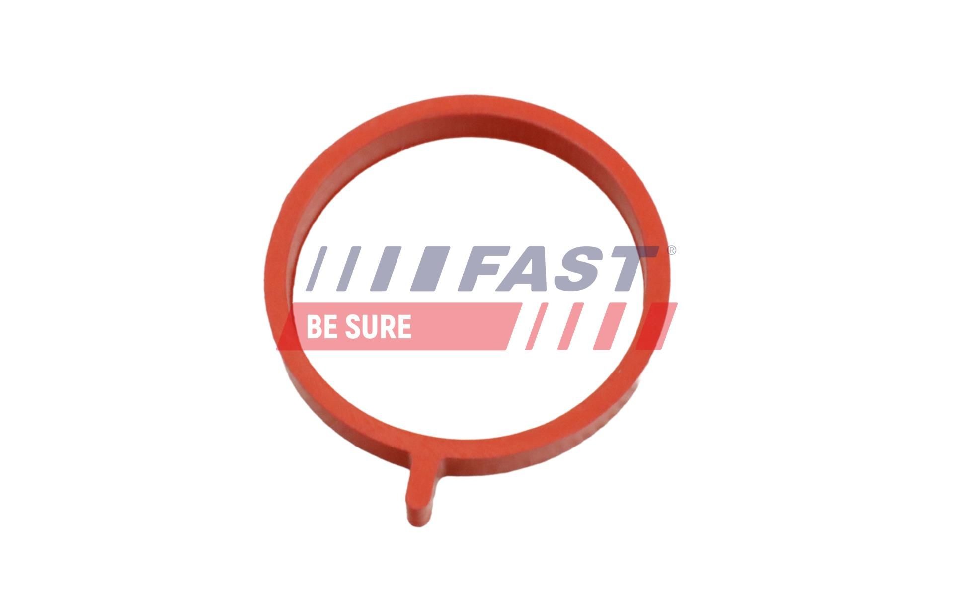 FAST FT49465: Tihend, väljalaskekollektor