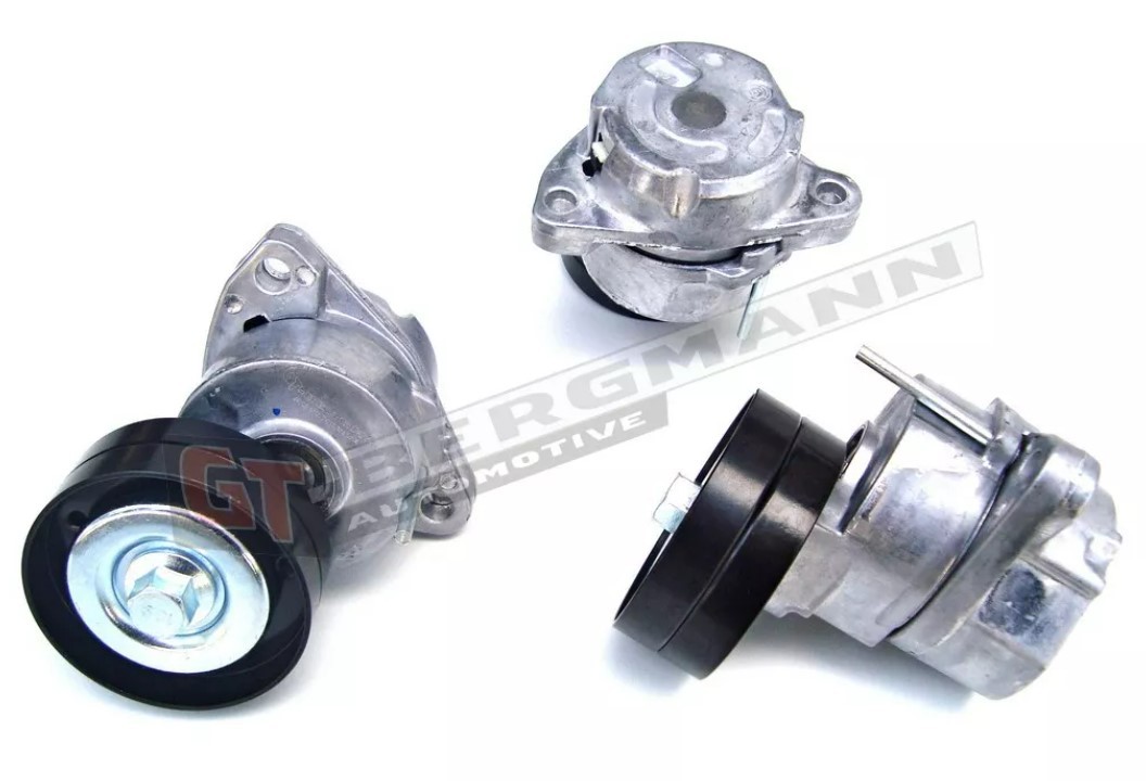 GT-BERGMANN GT19285: Intinzator curea, curea distributie