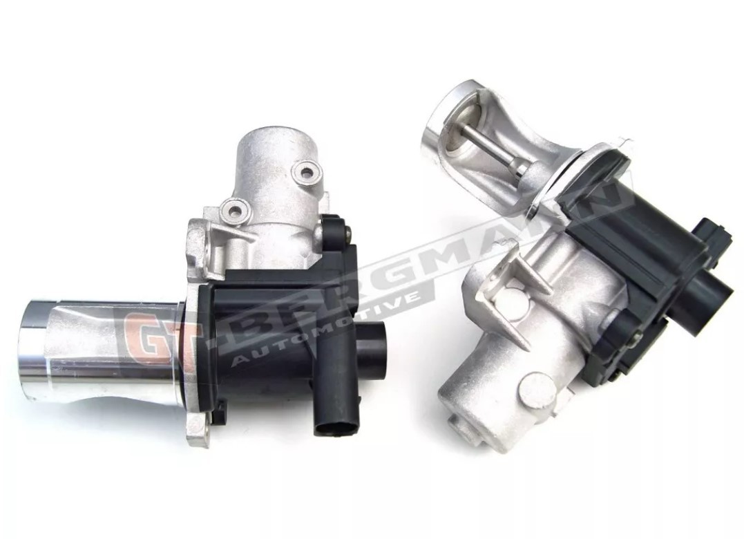GT-BERGMANN GT55-010: EGR-klapp