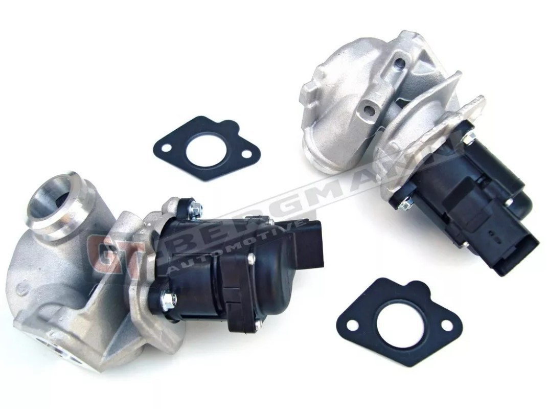 GT-BERGMANN GT55-017: EGR klep Met pakking