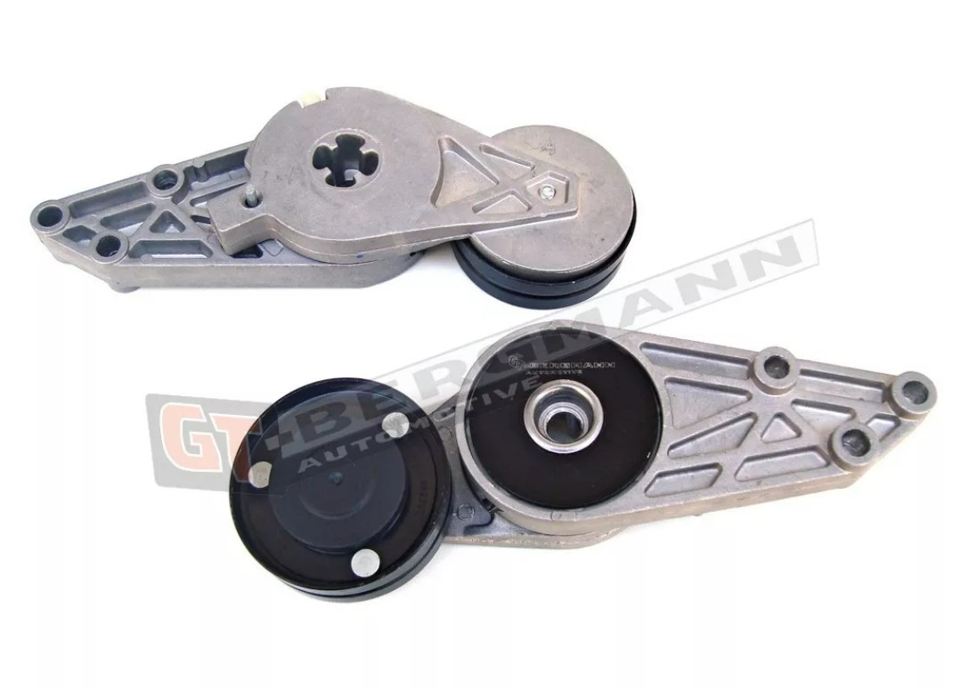 GT-BERGMANN GTNA533007730: Intinzator curea, curea distributie