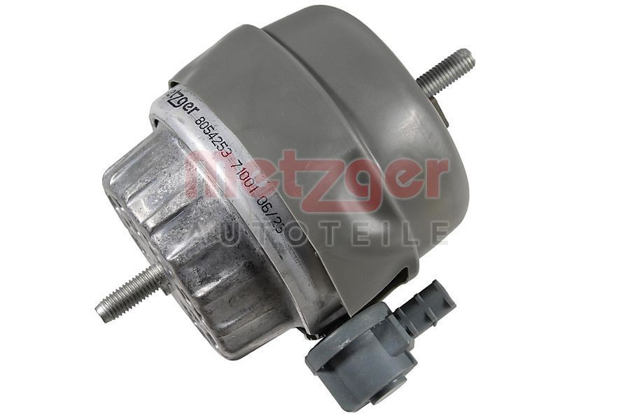 METZGER 8054253: Suport motor stanga