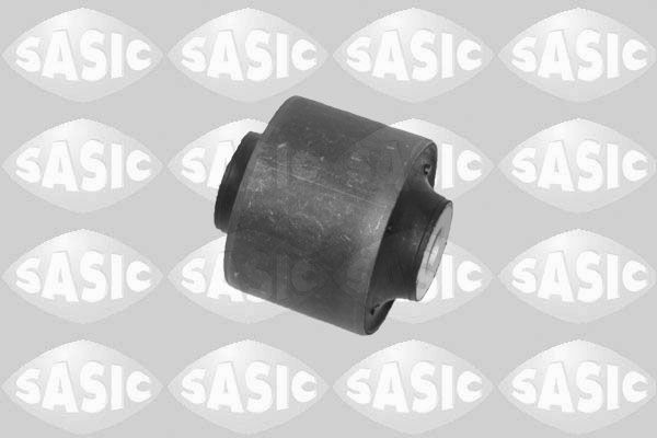 SASIC 2256232: Puks Esisild, taga, all