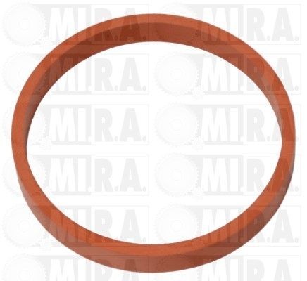 MI.R.A. 16/4483G: Tarpiklis, įsiurbimo kolektorius