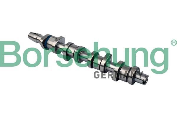Borsehung B11323: Nukkvõll