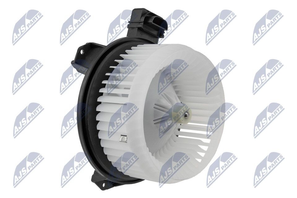 NTY EWN-CH-003: Salongipuhur