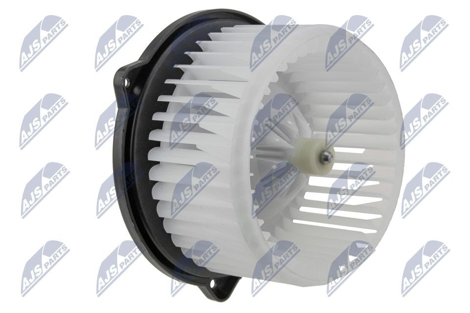 NTY EWN-TY-003: Salongipuhur