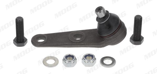 MOOG FD-BJ-3372: Šarnyras 15mm