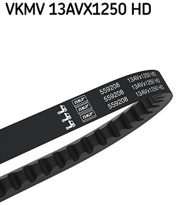 SKF VKMV 13AVX1250 HD: Kiilrihm