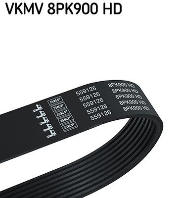 SKF VKMV 8PK900 HD: Soonrihm 900mm, Ribide arv: 8