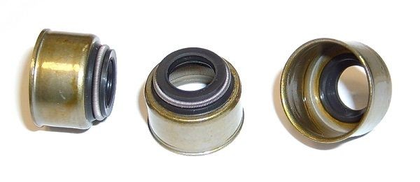 ELRING 523.917: Paraolio valvole