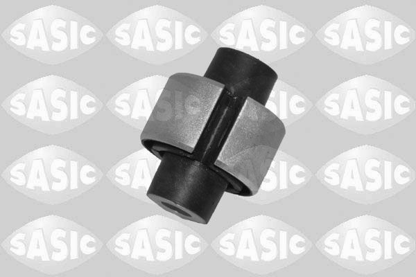 SASIC 2256230: Puks Tagasild, taga, all