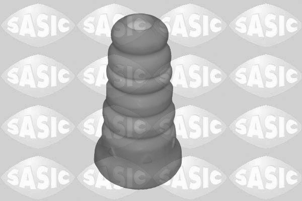SASIC 2656189: Puhver, vedrustus Tagasild