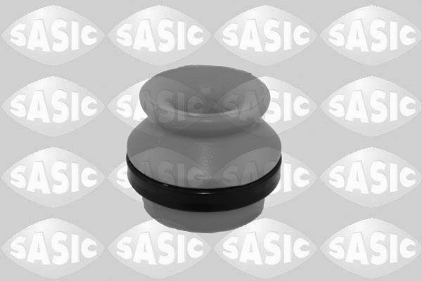 SASIC 2656195: Puhver, vedrustus Esisild