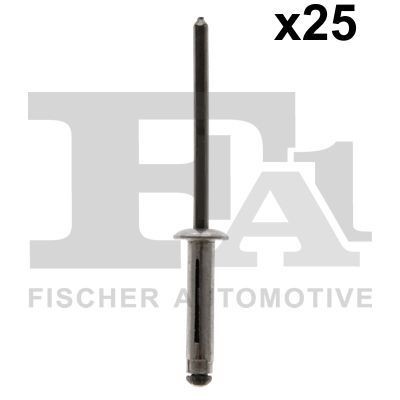 FA1 14-20003.25: Aklinųjų kniedžių asortimentas