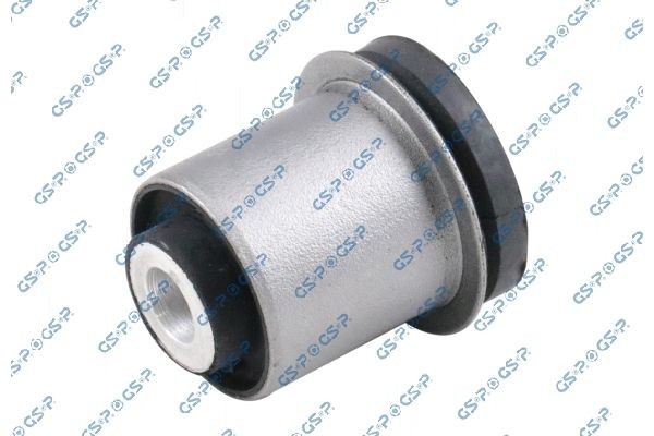 GSP 535783: Puks