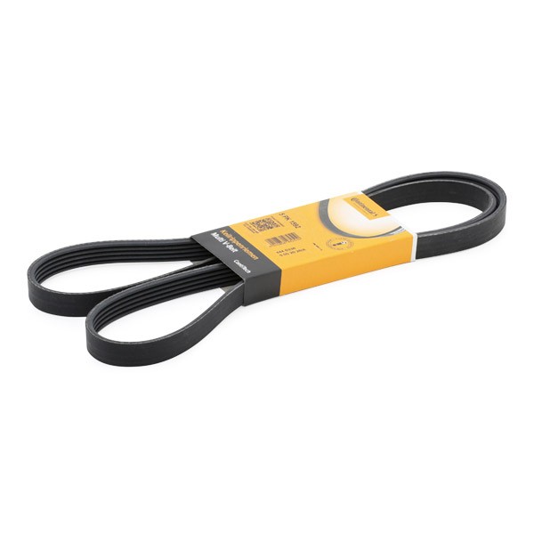 CONTITECH 5PK1592: Soonrihm 1592mm, Ribide arv: 5
