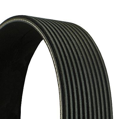 CONTITECH 11PK1515: Soonrihm 1515mm, Ribide arv: 11