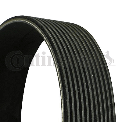 CONTITECH 11PK2055: Cinghia servizi 2055mm, N° di nervature: 11