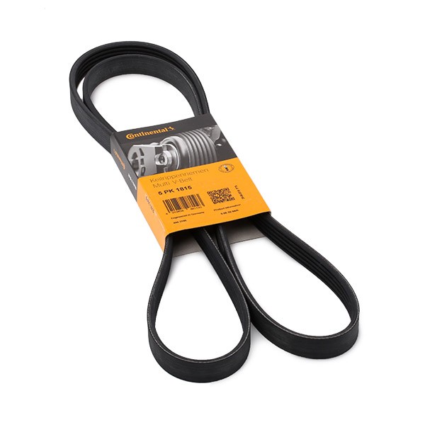 CONTITECH 5PK1815: Soonrihm 1815mm, Ribide arv: 5