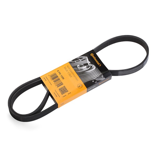 CONTITECH 6PK1256: Soonrihm 1256mm, Ribide arv: 6