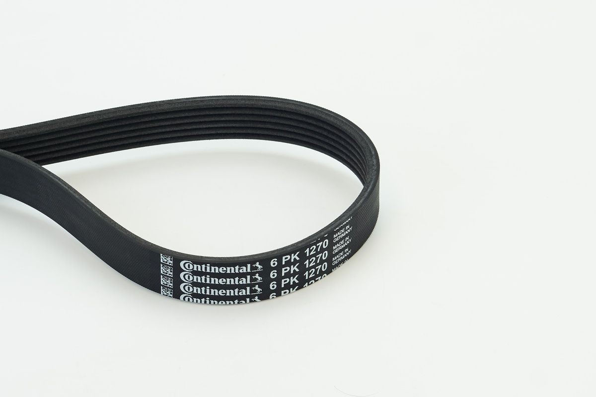 CONTITECH 6PK1270: Cinghia servizi 1270mm, N° di nervature: 6