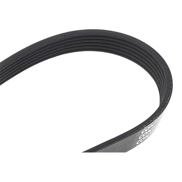 CONTITECH 6PK1453: Soonrihm 1453mm, Ribide arv: 6