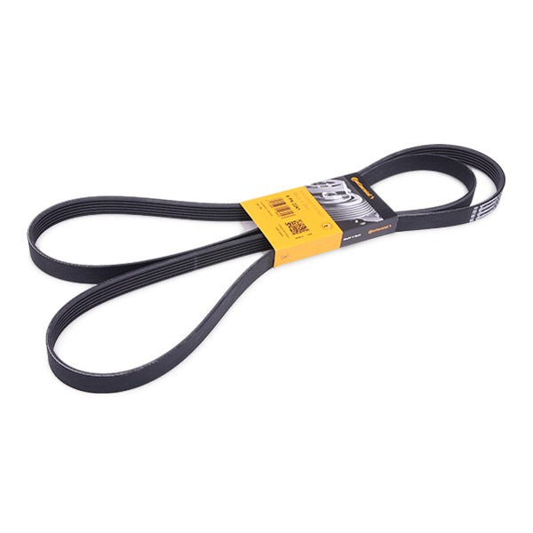 CONTITECH 6PK2241: Soonrihm 2241mm, Ribide arv: 6