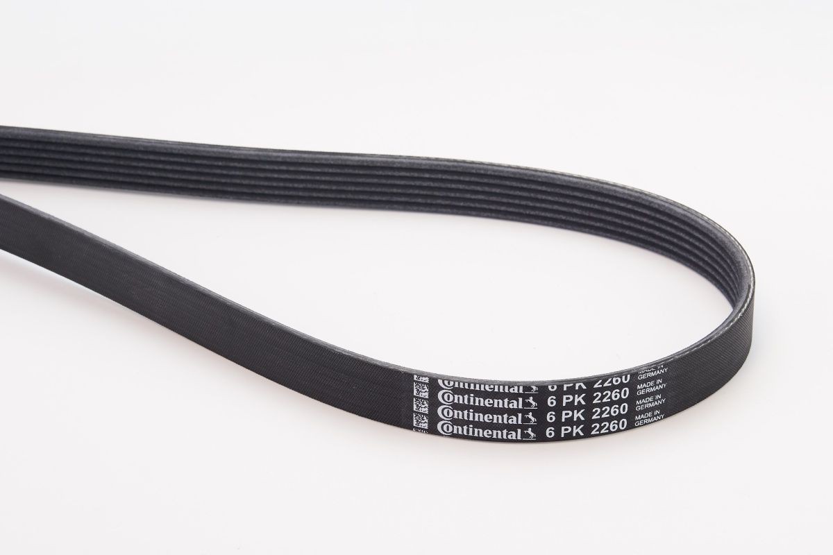 CONTITECH 6PK2260: Soonrihm 2260mm, Ribide arv: 6
