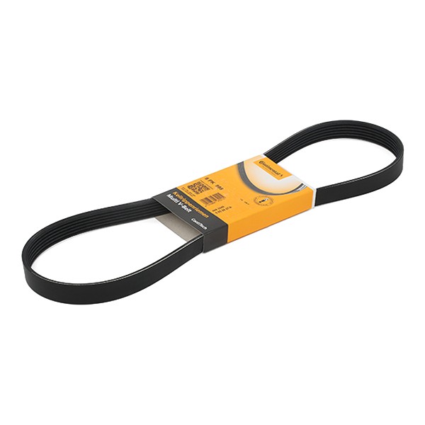 CONTITECH 6PK995: Soonrihm 995mm, Ribide arv: 6