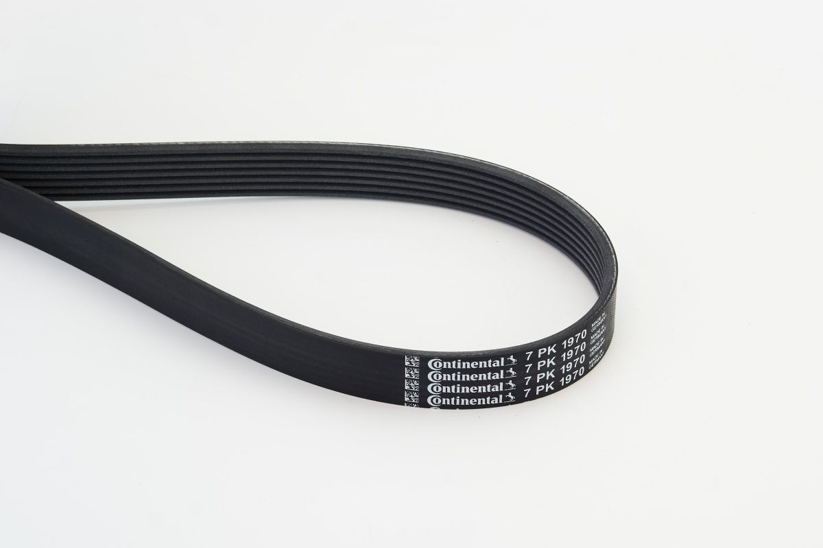 CONTITECH 7PK1970: Soonrihm 1970mm, Ribide arv: 7