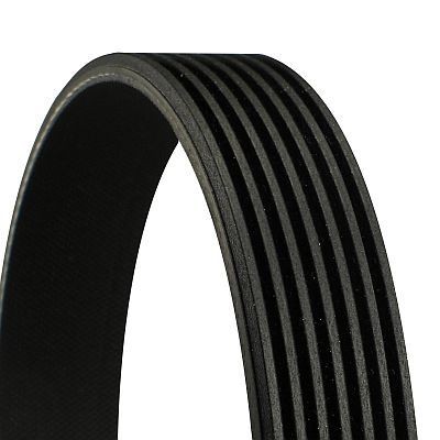 CONTITECH 7PK2875: V formos rumbuoti diržai 2875mm, briaunų skaičius: 7