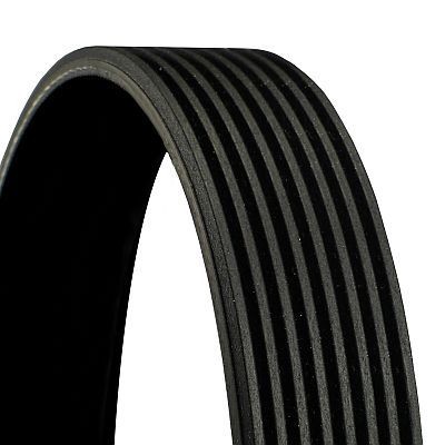 CONTITECH 8PK1625: Courroie Poly-V 1625mm, Nombre de gorges: 8