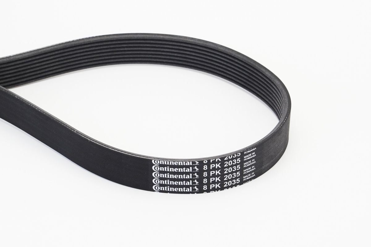 CONTITECH 8PK2035: Soonrihm 2035mm, Ribide arv: 8