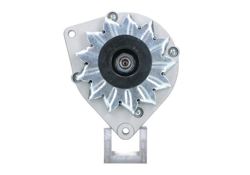 BV PSH 305.006.045.010: Laturi 65A