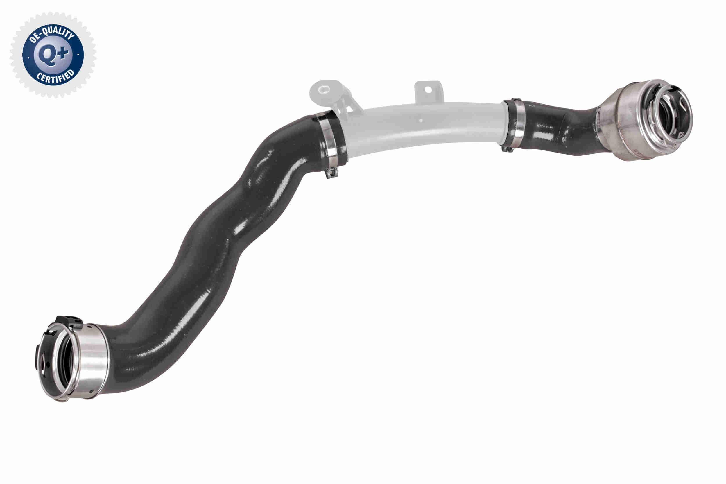 VAICO V46-1494: Kompressoriõhuvoolik Q+, original equipment manufacturer quality