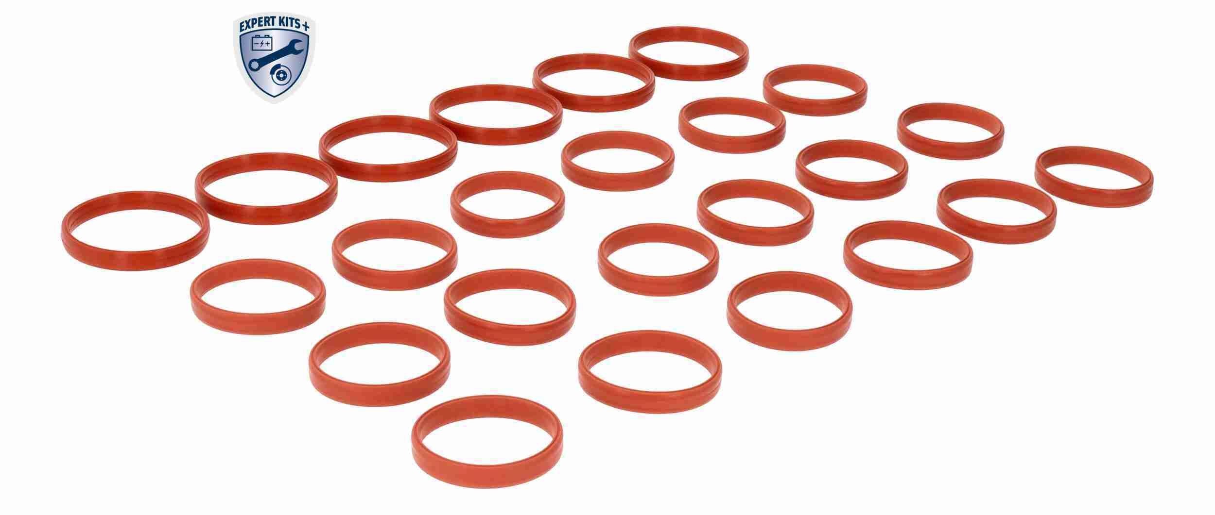 VEMO V10-77-0076: Set garnituri, galerie admisie EXPERT KITS +