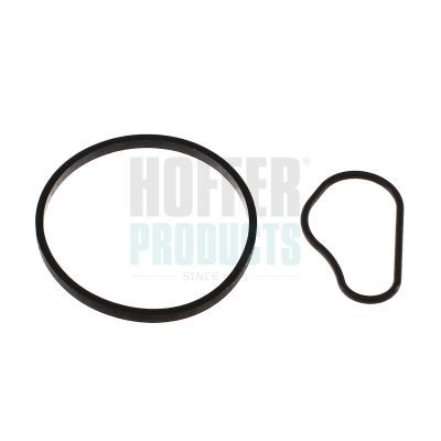 HOFFER 91252: Garnitura, pompa vacuum