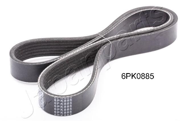 JAPANPARTS DV-6PK0885: Multireim 885mm, Ribbeantall: 6