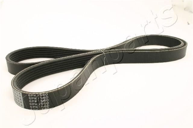 JAPANPARTS DV-6PK1560: Multireim 1560mm, Ribbeantall: 6