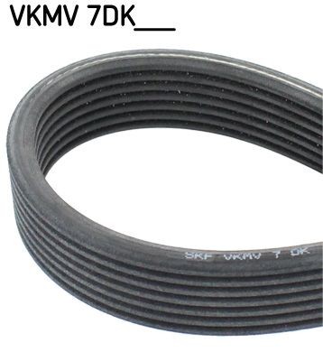 SKF VKMV 7DK1884: Curea transmisie cu caneluri 1884mm, Numar nervuri: 7