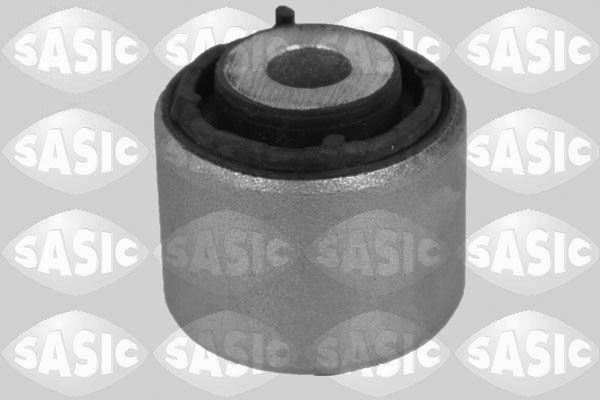SASIC 2256243: Puks Tagasild, ees, üleval